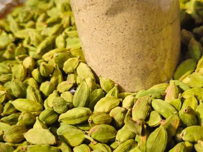 Herbal Masala, Traditional & Fusion Sweets